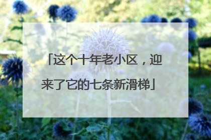 这个十年老小区，迎来了它的七条新滑梯