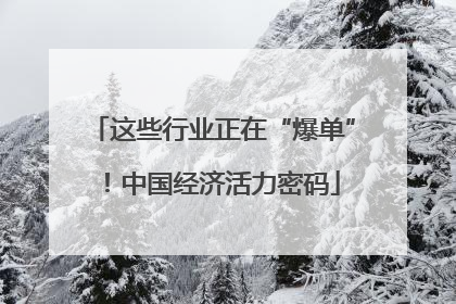这些行业正在“爆单”！中国经济活力密码