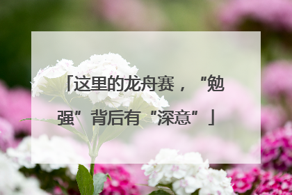 这里的龙舟赛，“勉强”背后有“深意”
