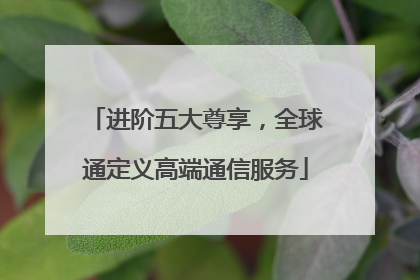 进阶五大尊享，全球通定义高端通信服务
