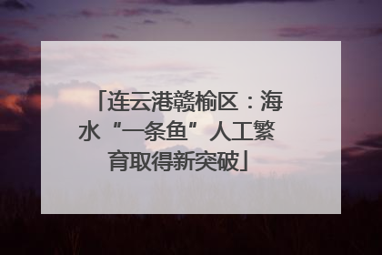 连云港赣榆区：海水“一条鱼”人工繁育取得新突破
