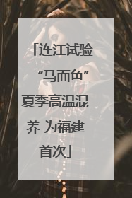 连江试验“马面鱼”夏季高温混养 为福建首次