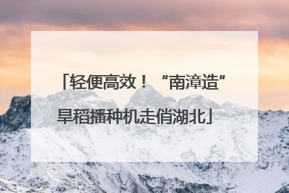 轻便高效！“南漳造”旱稻播种机走俏湖北