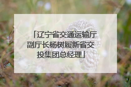 辽宁省交通运输厅副厅长杨树履新省交投集团总经理