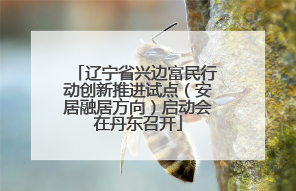 辽宁省兴边富民行动创新推进试点（安居融居方向）启动会在丹东召开