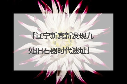 辽宁新宾新发现九处旧石器时代遗址