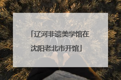 辽河非遗美学馆在沈阳老北市开馆