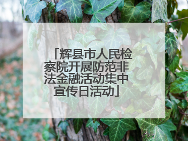 辉县市人民检察院开展防范非法金融活动集中宣传日活动