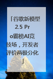 谷歌新模型2.5 Pro霸榜AI竞技场，开发者评价两极分化