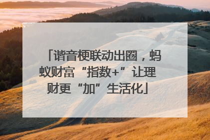 谐音梗联动出圈，蚂蚁财富“指数+”让理财更“加”生活化