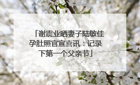 谢震业晒妻子陆敏佳孕肚照官宣喜讯：记录下第一个父亲节