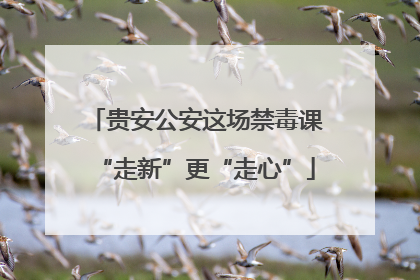 贵安公安这场禁毒课“走新”更“走心”