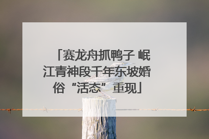 赛龙舟抓鸭子 岷江青神段千年东坡婚俗“活态”重现