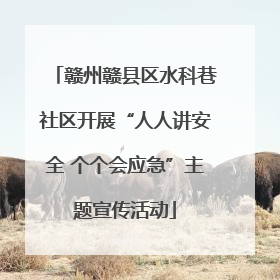 赣州赣县区水科巷社区开展“人人讲安全 个个会应急”主题宣传活动