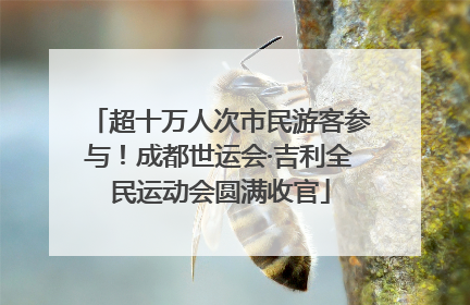 超十万人次市民游客参与！成都世运会·吉利全民运动会圆满收官