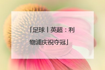 足球丨英超：利物浦庆祝夺冠