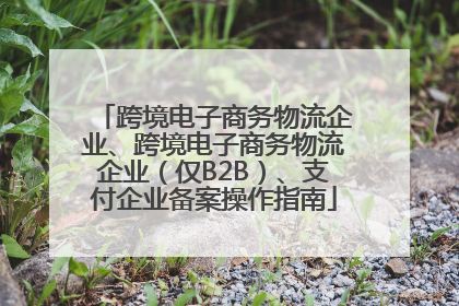 跨境电子商务物流企业、跨境电子商务物流企业（仅B2B）、支付企业备案操作指南