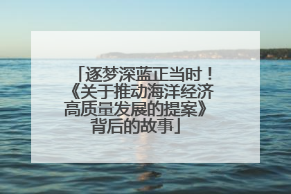 逐梦深蓝正当时！《关于推动海洋经济高质量发展的提案》背后的故事