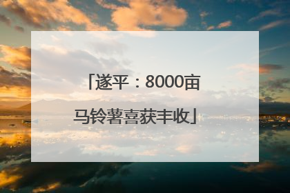 遂平：8000亩马铃薯喜获丰收
