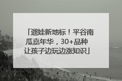 遛娃新地标！平谷南瓜嘉年华，30+品种让孩子边玩边涨知识