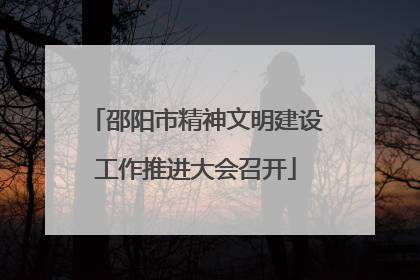 邵阳市精神文明建设工作推进大会召开