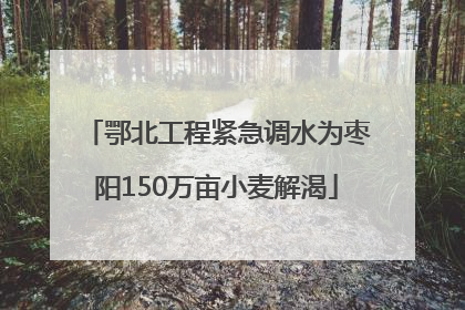 鄂北工程紧急调水为枣阳150万亩小麦解渴