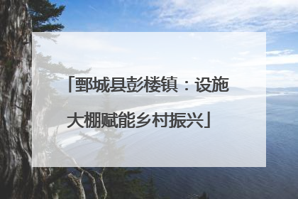鄄城县彭楼镇：设施大棚赋能乡村振兴