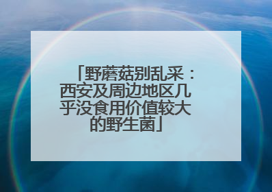 野蘑菇别乱采：西安及周边地区几乎没食用价值较大的野生菌