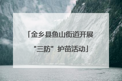 金乡县鱼山街道开展“三防”护苗活动