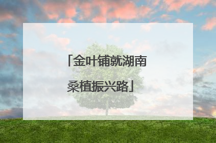 金叶铺就湖南桑植振兴路