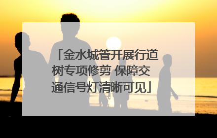 金水城管开展行道树专项修剪 保障交通信号灯清晰可见