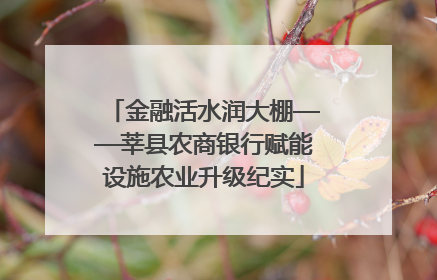 金融活水润大棚——莘县农商银行赋能设施农业升级纪实
