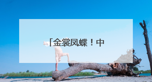 金裳凤蝶！中国最大蝴蝶现身四川广元