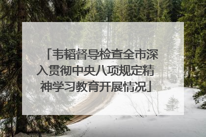 韦韬督导检查全市深入贯彻中央八项规定精神学习教育开展情况