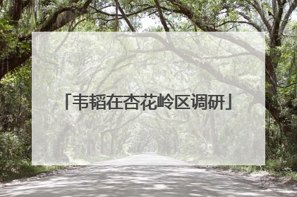 韦韬在杏花岭区调研
