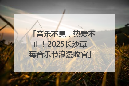 音乐不息，热爱不止！2025长沙草莓音乐节浪漫收官