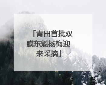 青田首批双膜东魁杨梅迎来采摘