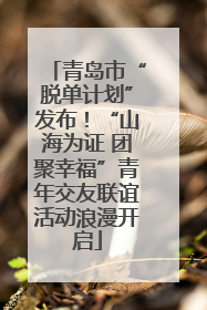 青岛市“脱单计划”发布！“山海为证 团聚幸福”青年交友联谊活动浪漫开启