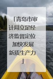青岛市审计局立足经济监督定位 加快发展新质生产力