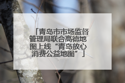 青岛市市场监督管理局联合高德地图上线“青岛放心消费公益地图”