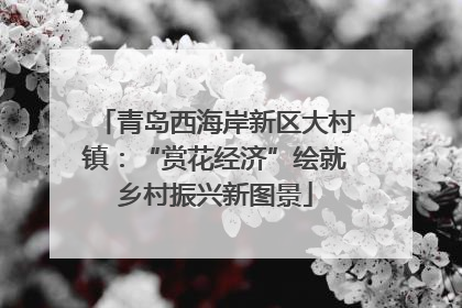青岛西海岸新区大村镇：“赏花经济”绘就乡村振兴新图景