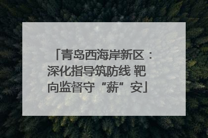 青岛西海岸新区：深化指导筑防线 靶向监督守“薪”安