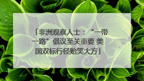 非洲观察人士：“一带一路”倡议至关重要 美国双标行径贻笑大方