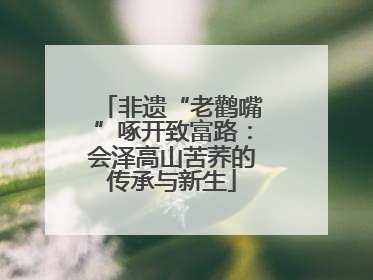 非遗“老鹳嘴”啄开致富路：会泽高山苦荞的传承与新生