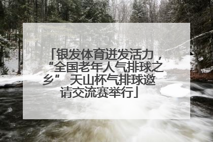银发体育迸发活力，“全国老年人气排球之乡” 天山杯气排球邀请交流赛举行