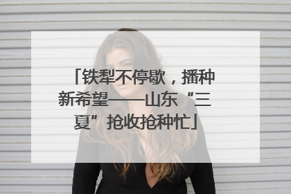 铁犁不停歇，播种新希望——山东“三夏”抢收抢种忙