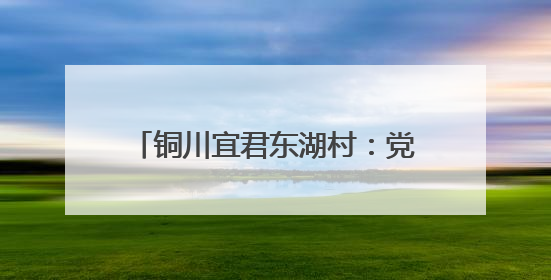 铜川宜君东湖村：党群共建让乡村从“一时美”变“持久美”