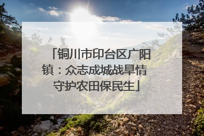 铜川市印台区广阳镇：众志成城战旱情 守护农田保民生