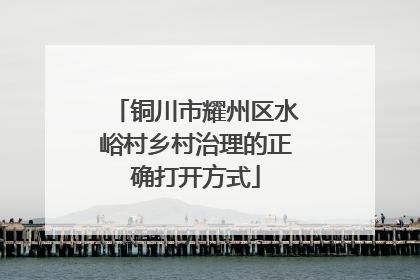 铜川市耀州区水峪村乡村治理的正确打开方式