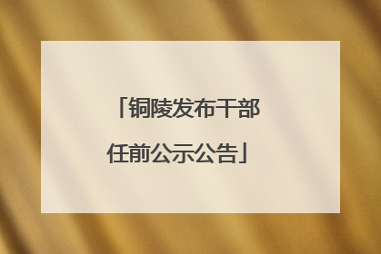 铜陵发布干部任前公示公告